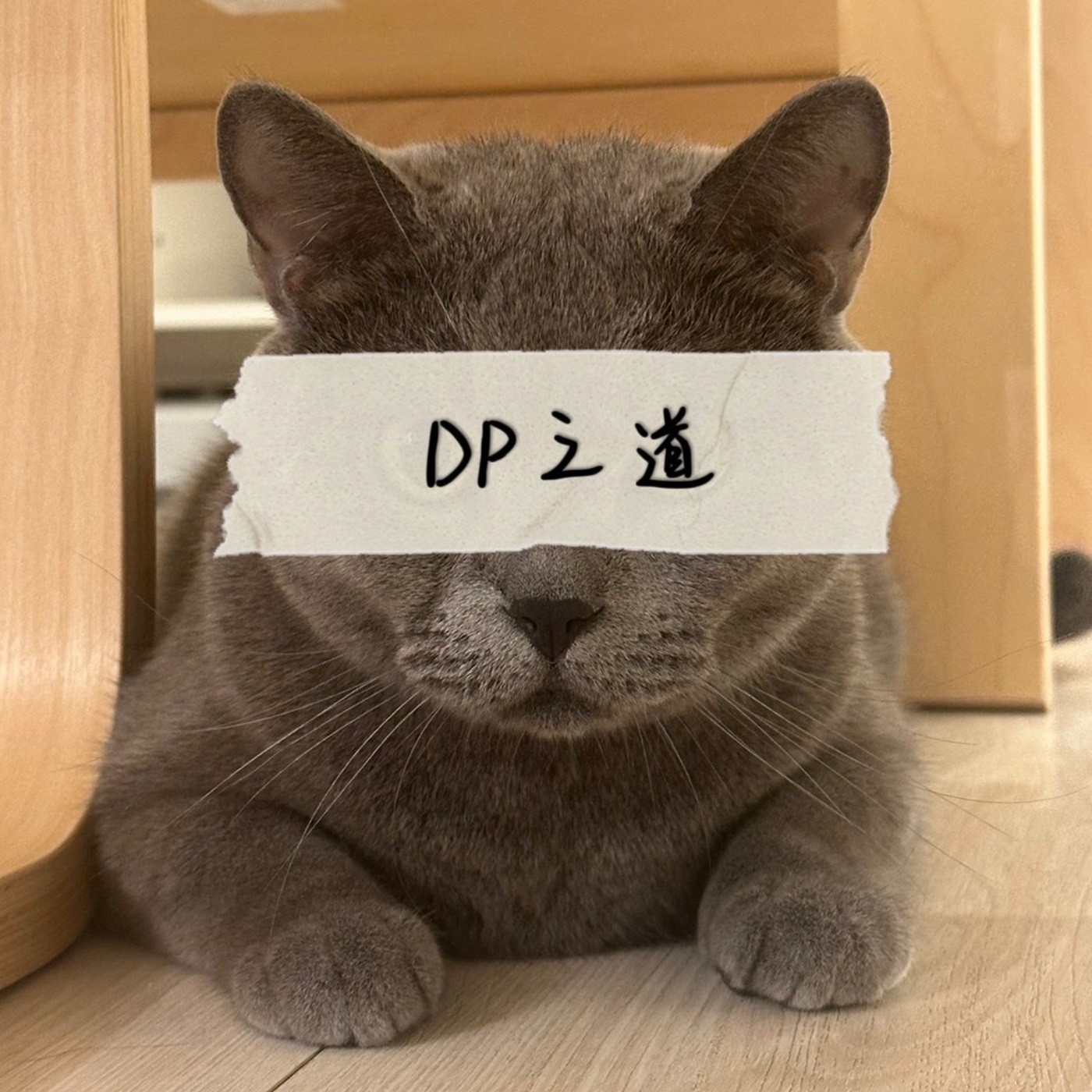 EP1_為什麼要開頻道啦 episode artwork