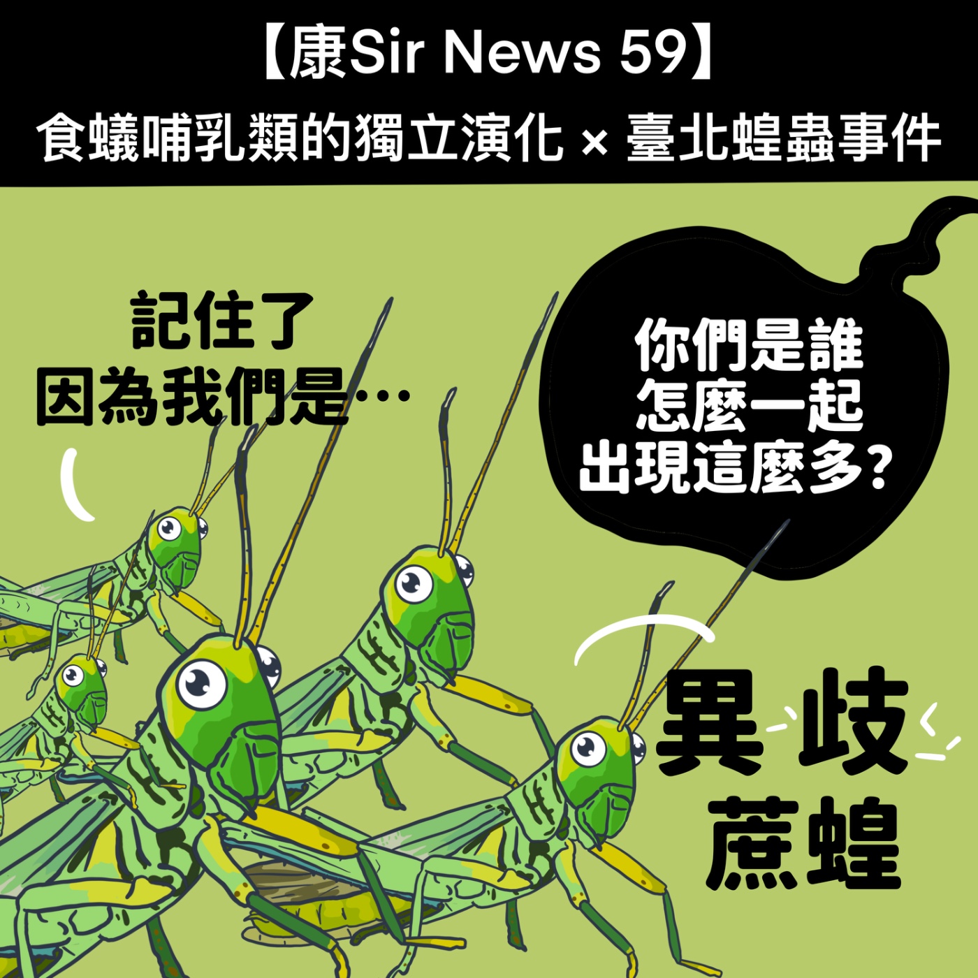【康Sir News 59】食蟻哺乳類的獨立演化 × 臺北蝗蟲事件 episode artwork