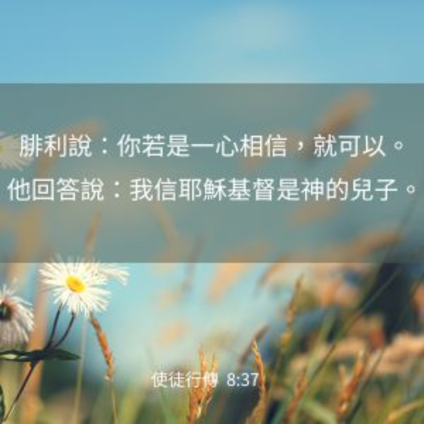 使徒行傳 8:26-40 episode artwork