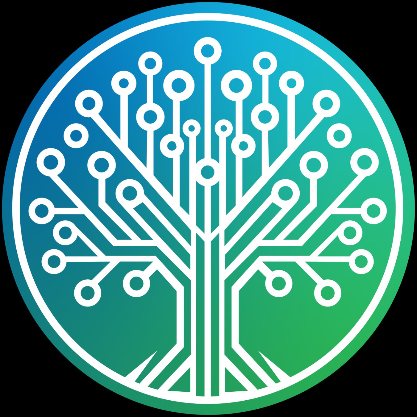 Smartech Aging Solutions: Bridging Research, Everyday Care, and Health Literacy in Long-Term Care