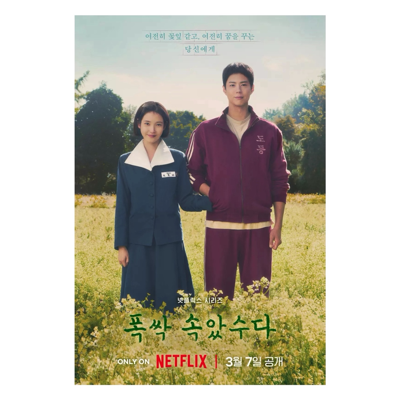 苦盡柑來遇見你폭싹 속았수다,爸媽是世上最愛你的人When Life Gives You Tangerines.S04EP254