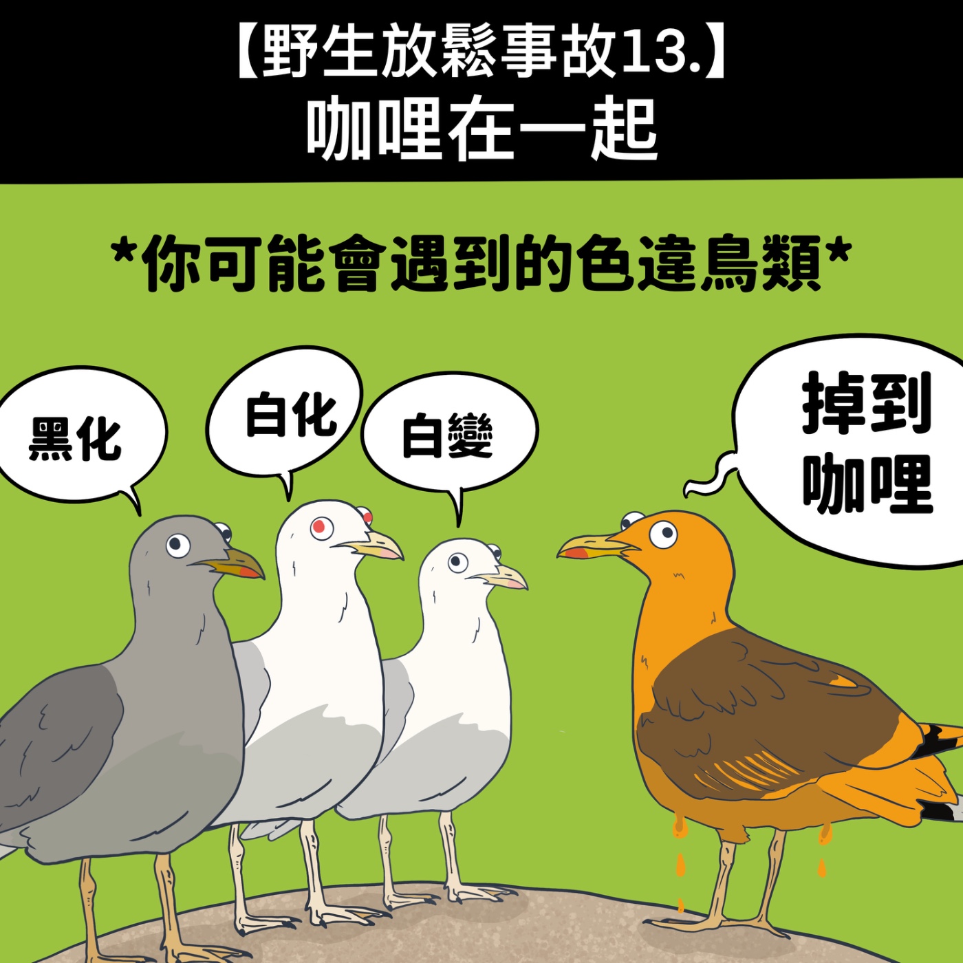 野生放鬆事故13. 咖哩在一起  episode artwork