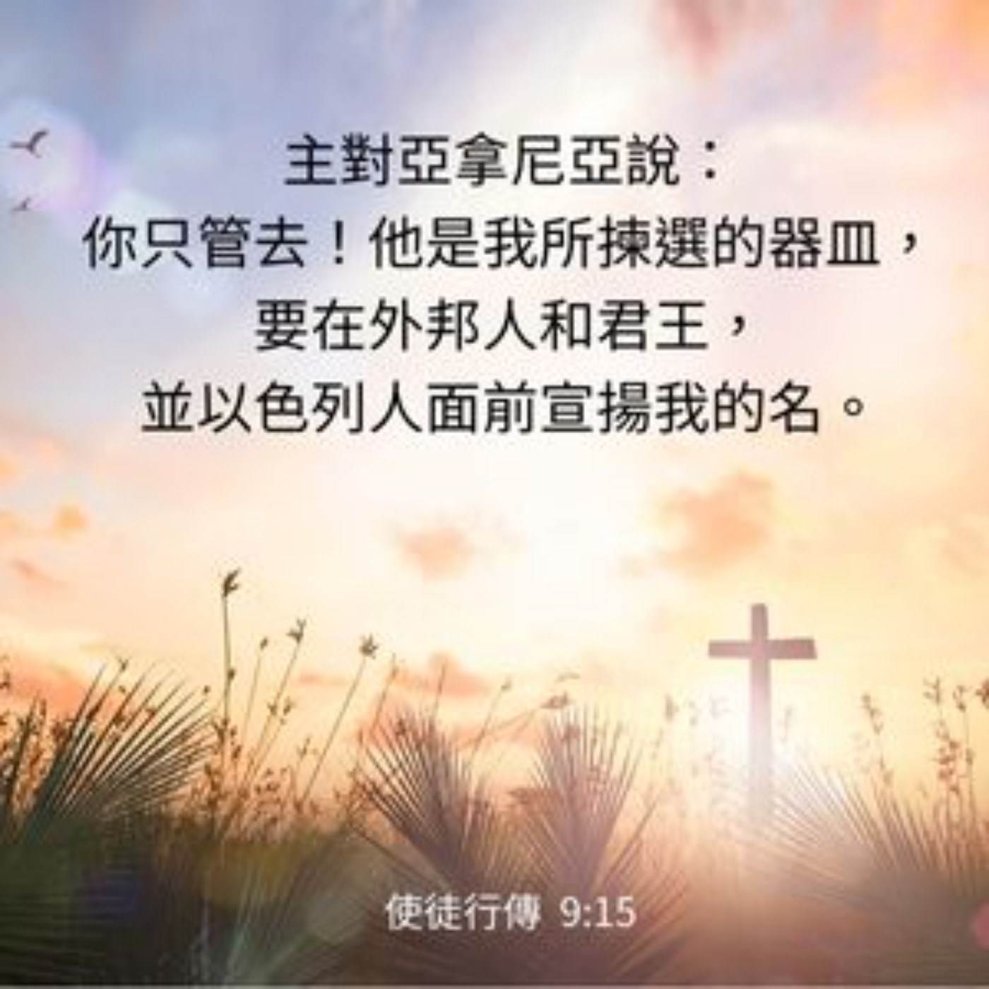使徒行傳 9:10-19 episode artwork