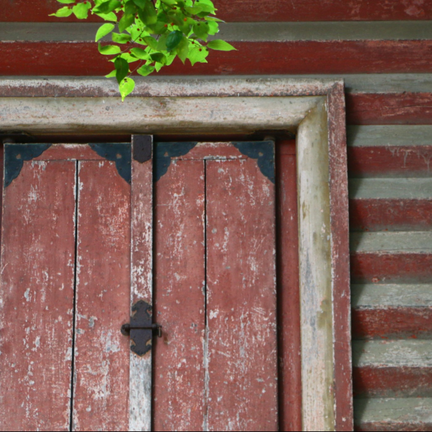 心之行旅 Go with Your Heart