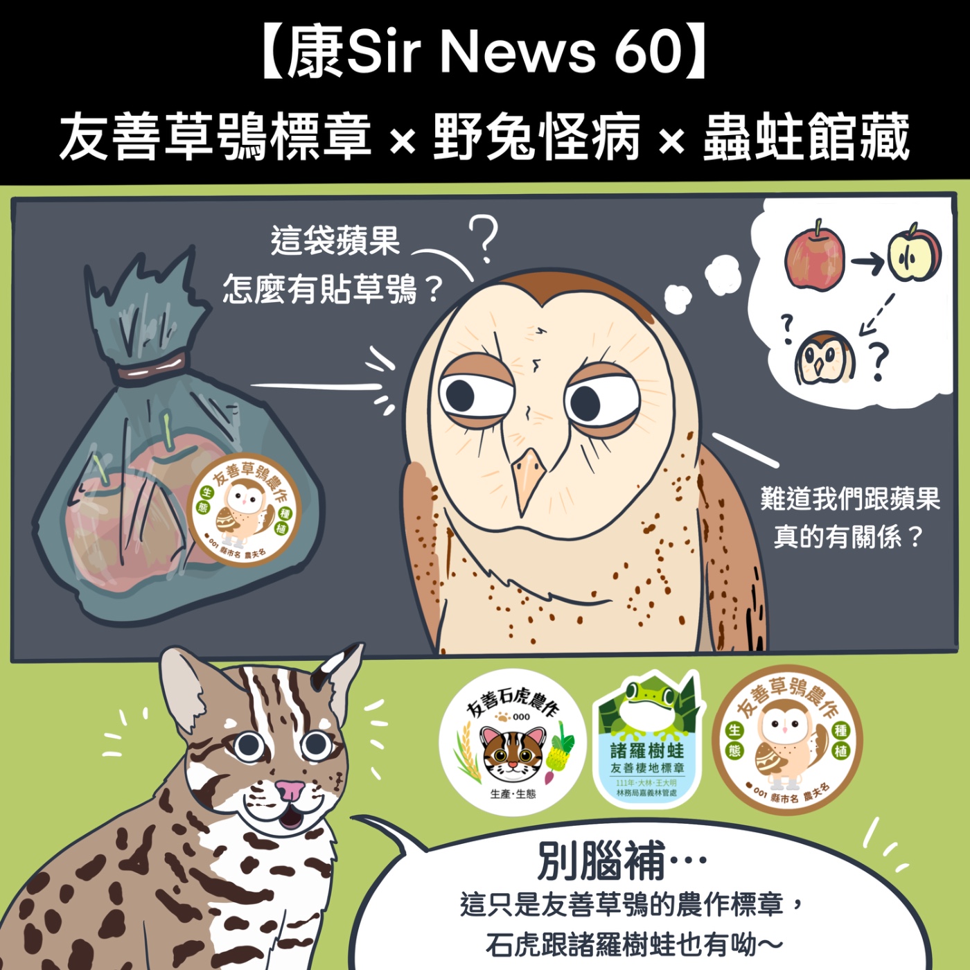 【康Sir News 60】友善草鴞標章 ×野兔怪病×蟲蛀館藏 episode artwork