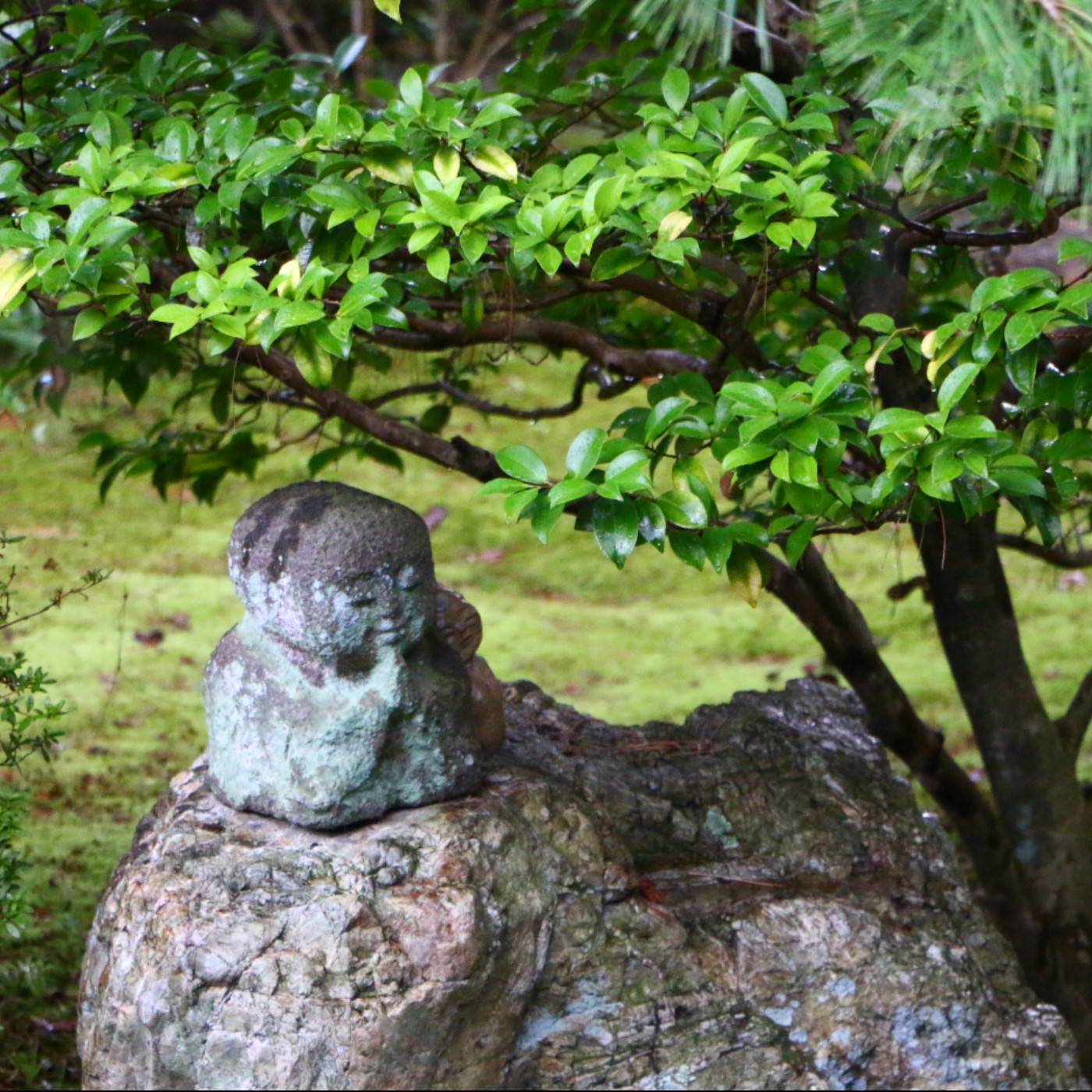 心之行旅 Go with Your Heart