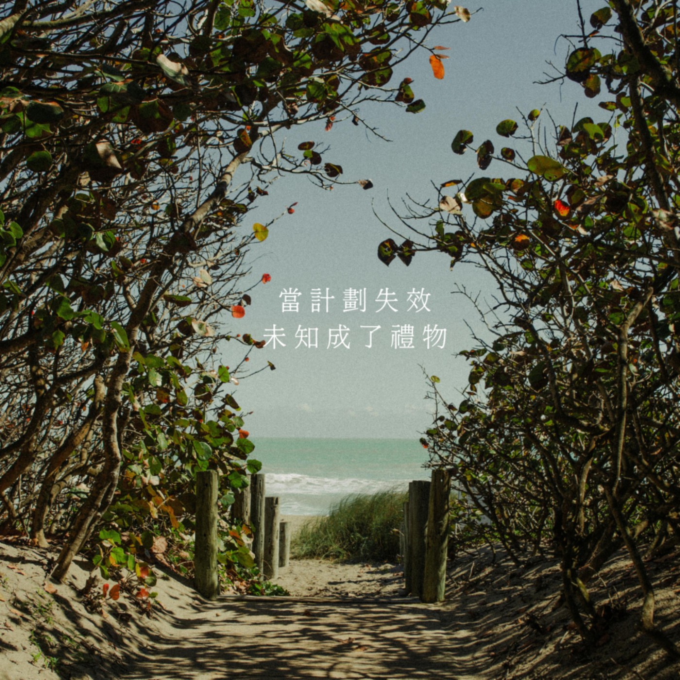 【你該聽的事】當計劃失效，未知成了禮物。 episode artwork