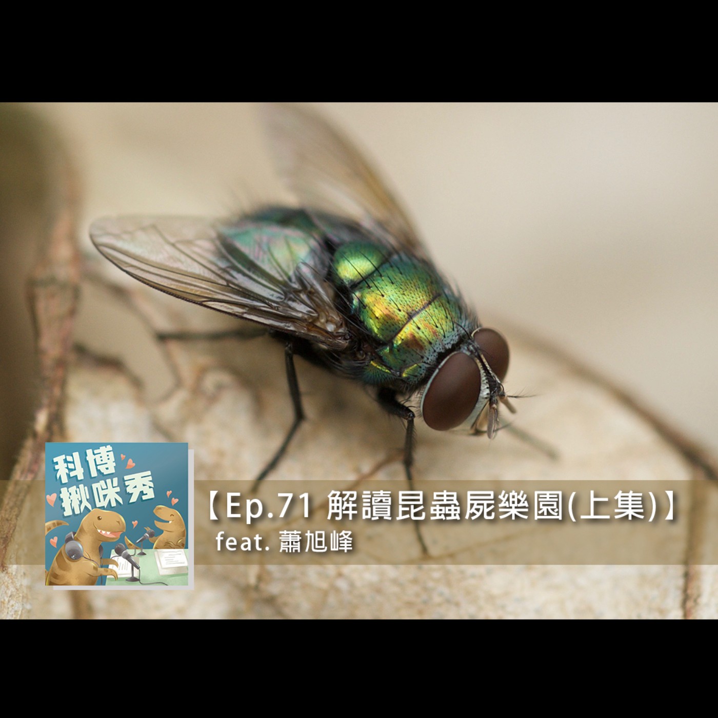 Ep.71 解讀昆蟲屍樂園(上集) feat. 蕭旭峰 aka 法醫昆蟲學專家
