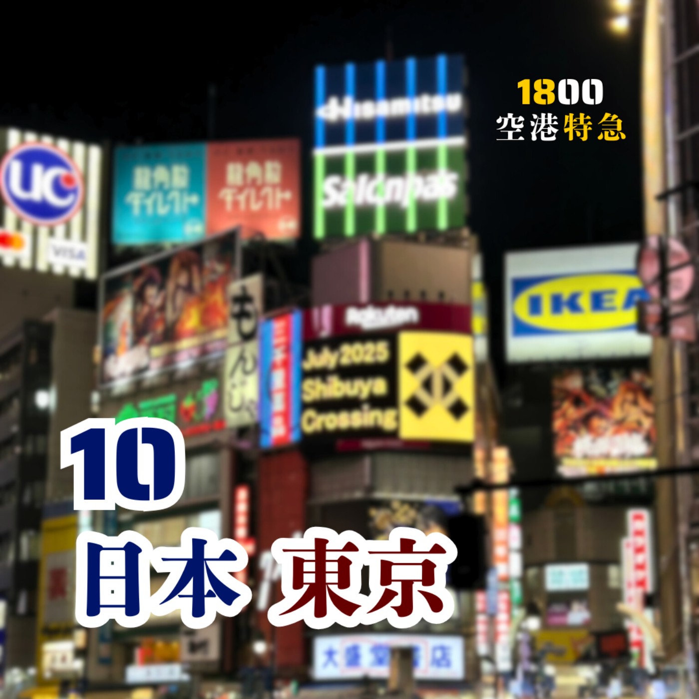 10【日本 ‧ 東京】沒養貓，但愛看人家的貓