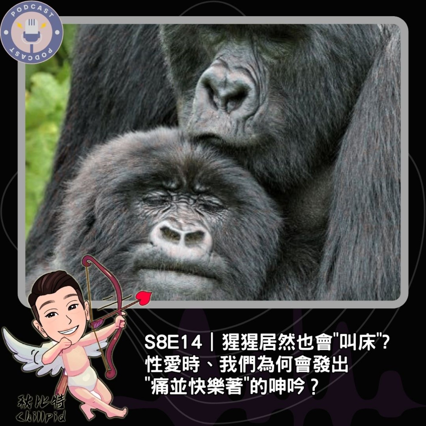S8E14｜性愛時、我們為何會發出"痛並快樂著"的呻吟？猩猩居然也會"叫床"? episode artwork