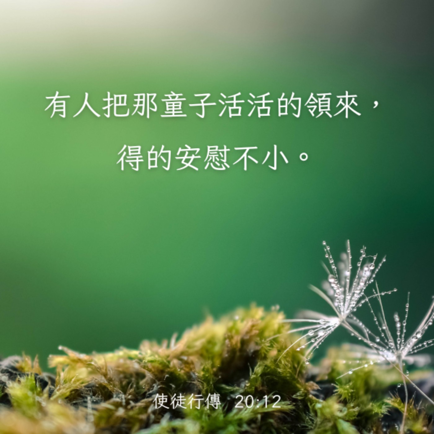 使徒行傳 20:1-12 episode artwork