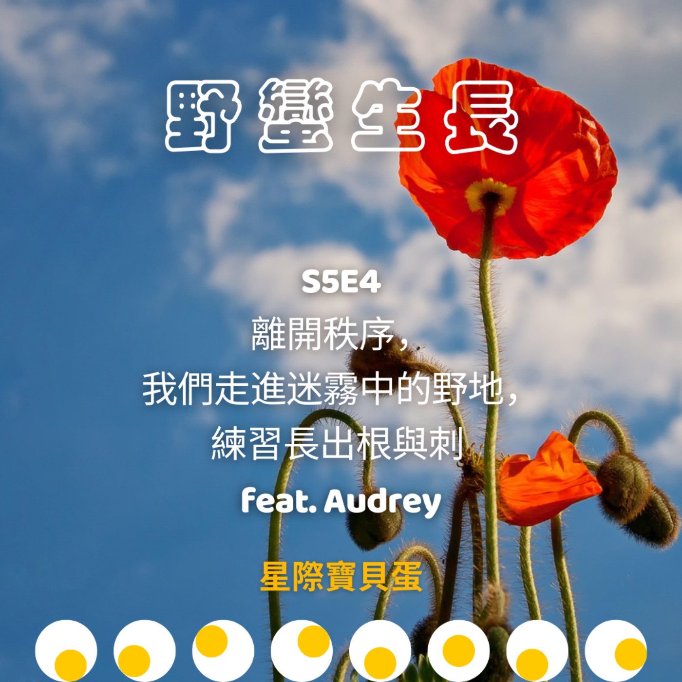 星際寶貝蛋 Star Egg