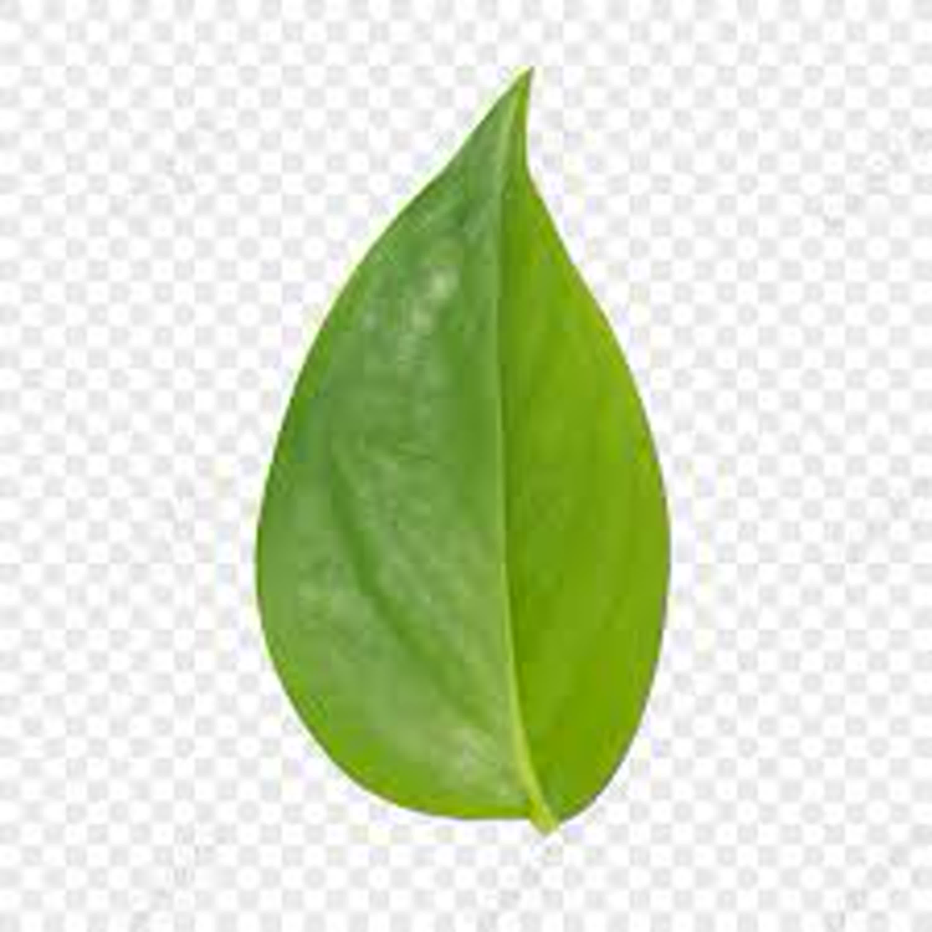 第一集怎麼變相親節目?  | 自我介紹(開Podcast初心+快問快答) | EP1  feat 安迪