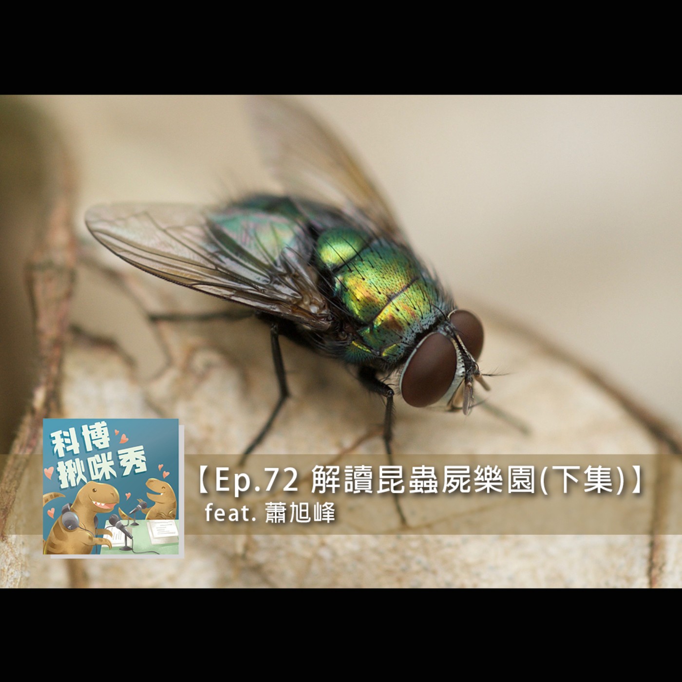 Ep.72 解讀昆蟲屍樂園(下集) feat. 蕭旭峰 aka 法醫昆蟲學專家