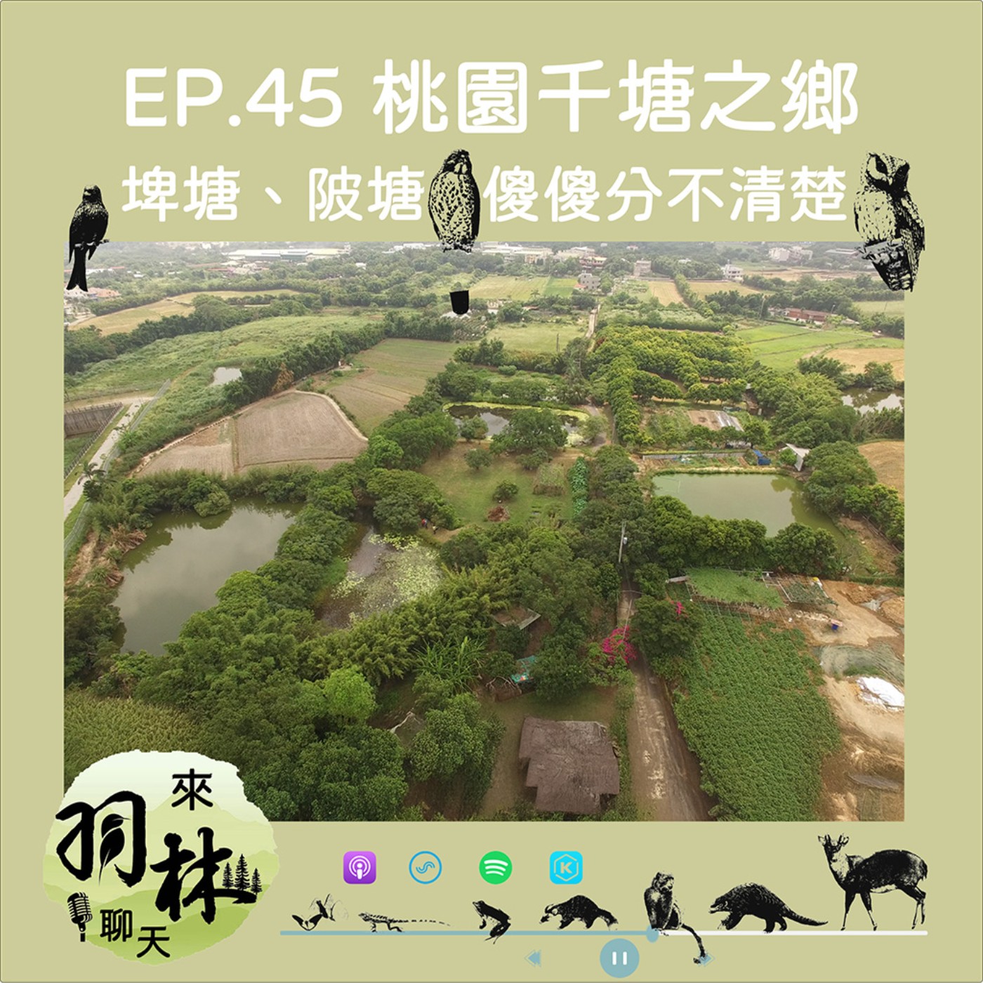 來羽林聊天 EP.45 桃園千塘之鄉/陂塘、埤塘傻傻分不清楚/摸蚌殼、玩筍姑-陂塘的童年回憶 ft. 王派鋒 桃園市環教學會前理事長 episode artwork