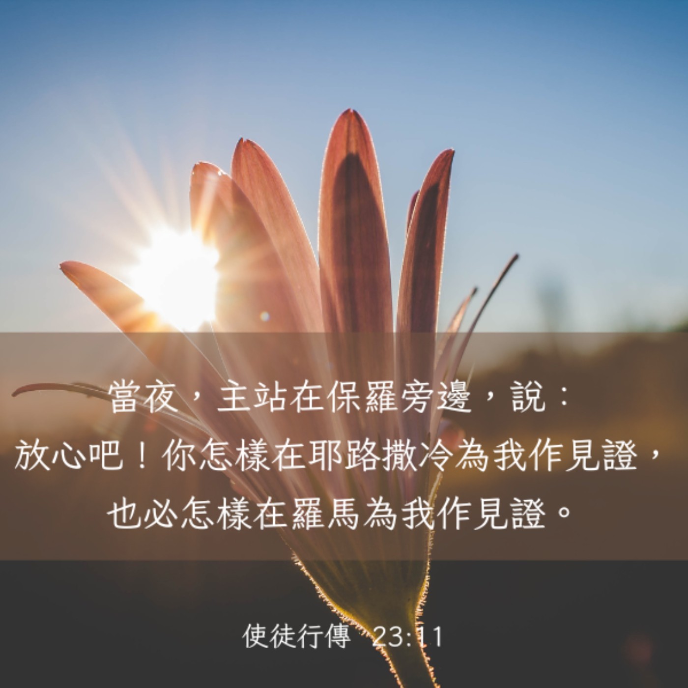 使徒行傳 22:30-23:11 episode artwork