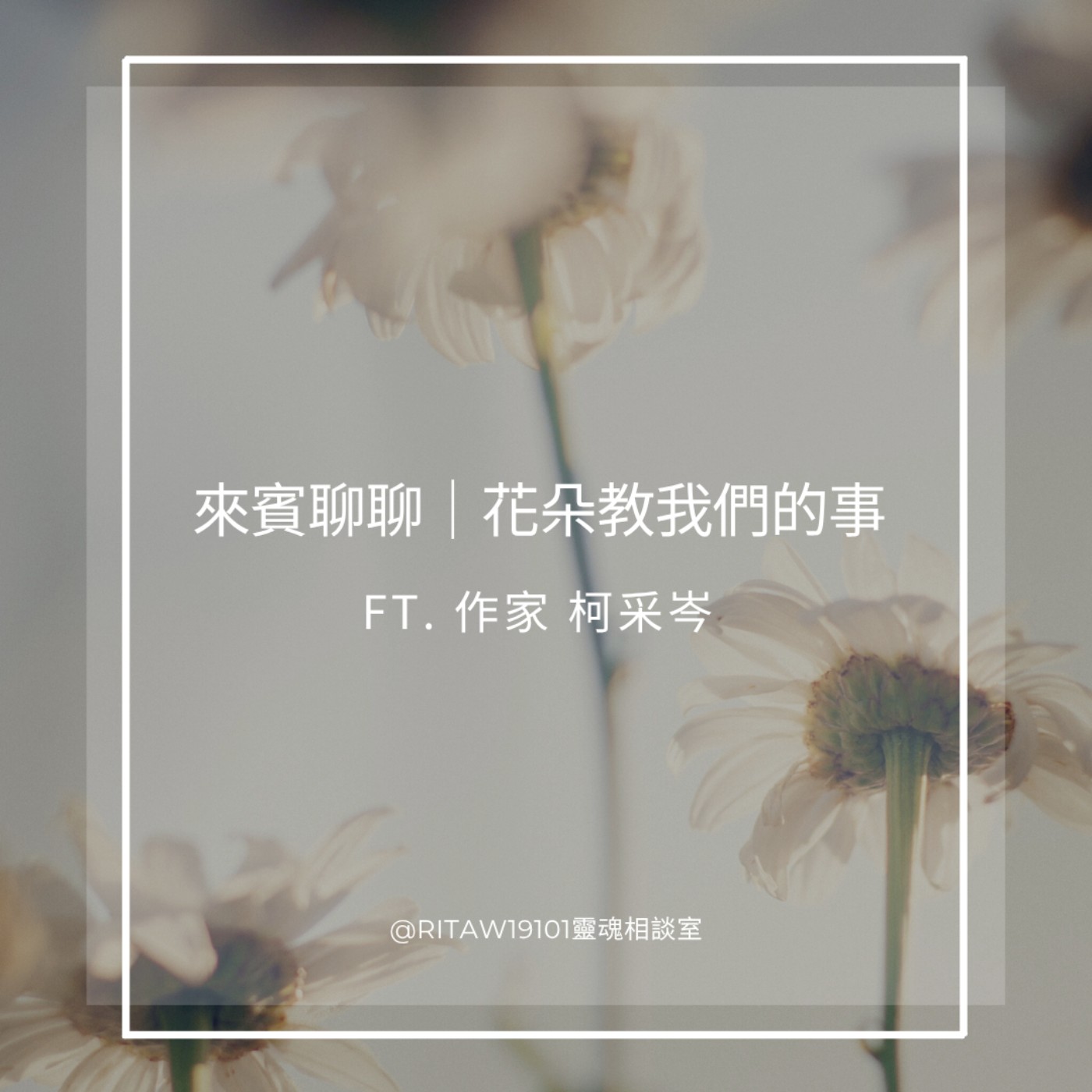 來賓聊聊｜花朵教我們的事