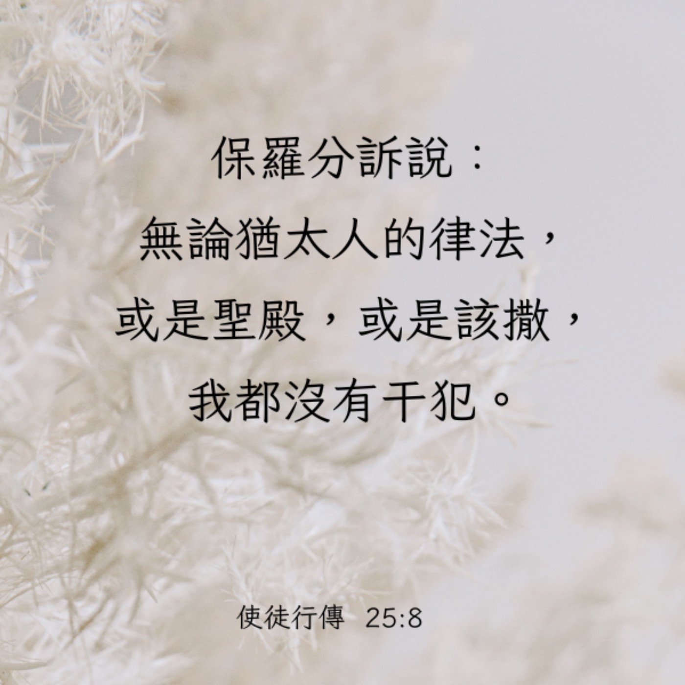 使徒行傳 24:27–25:12 episode artwork