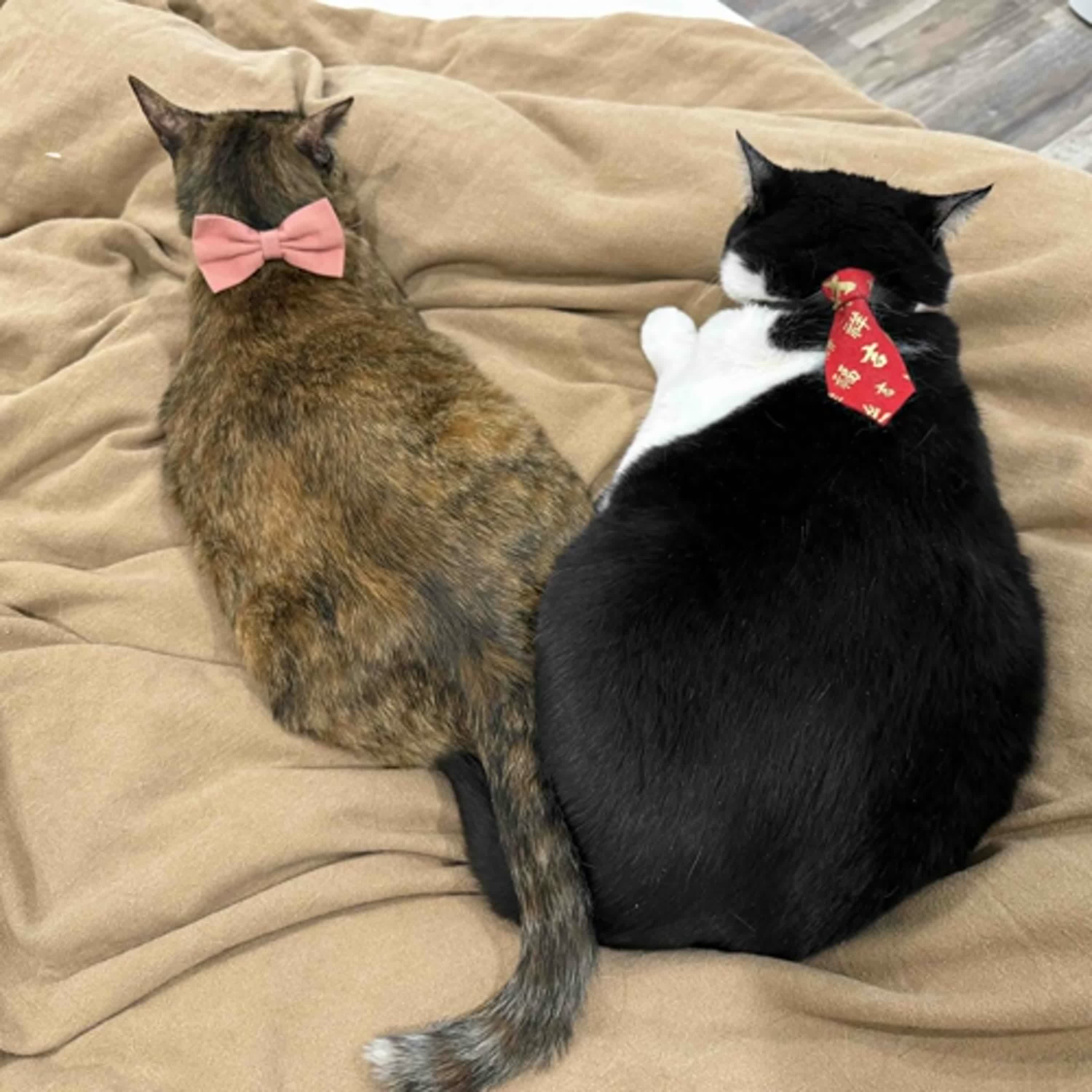 Ep.10｜靈性歸靈性、政治歸政治？