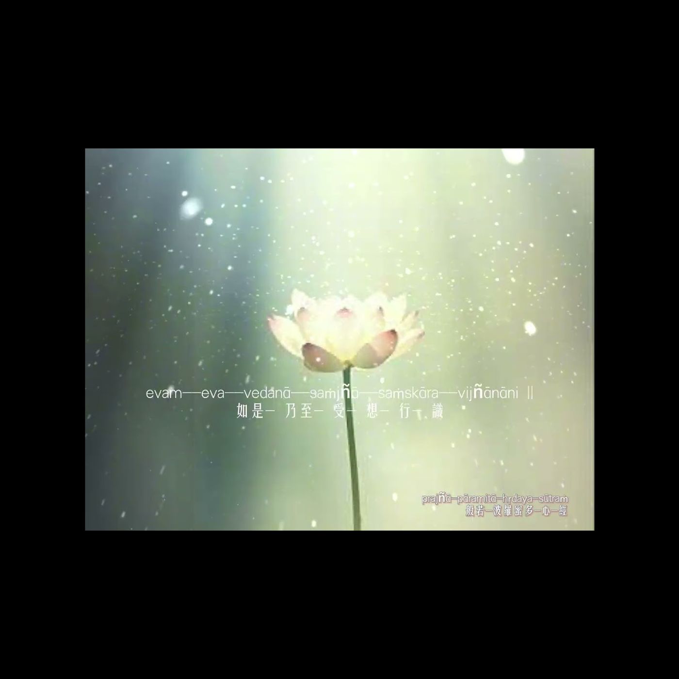 #心經梵文  感受寧靜的空性能量 🌼1小時版