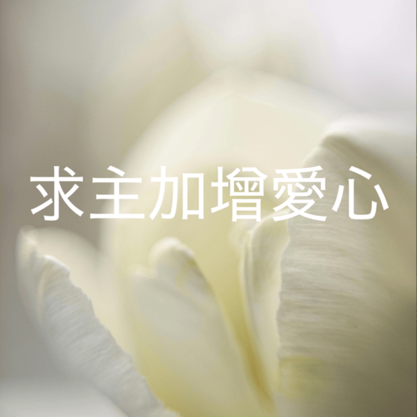 301 【求主加增愛心】