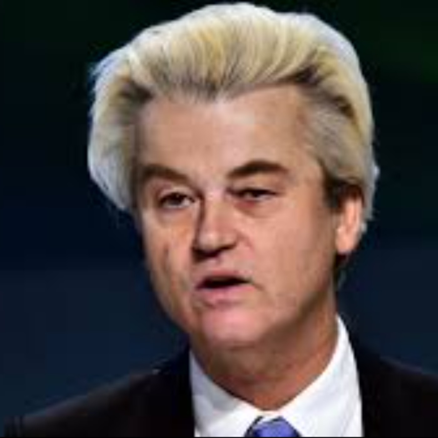 Schoof Things Schoof Things