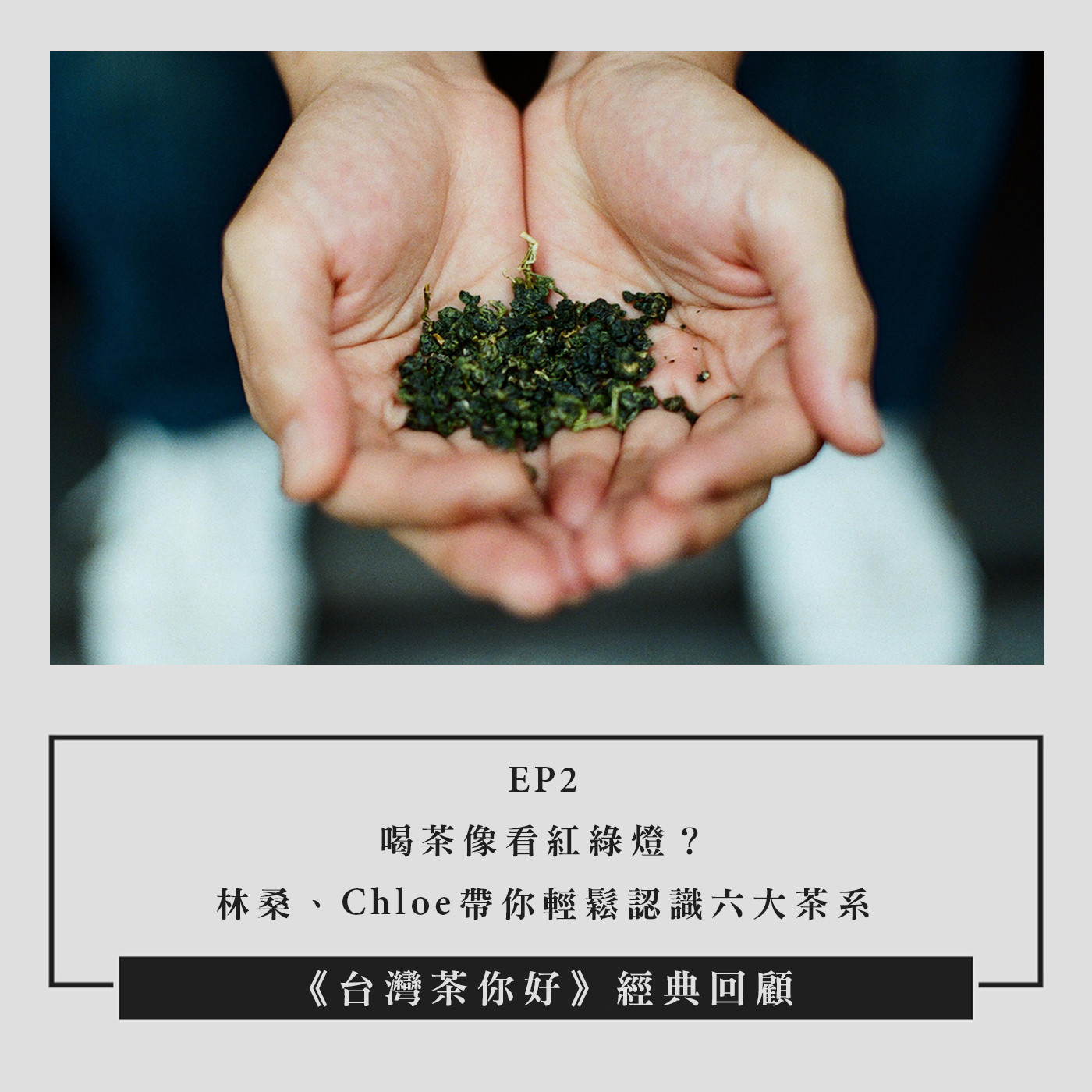 【經典回顧】EP02｜喝茶像看紅綠燈？林桑、Chloe 帶你輕鬆認識六大茶系