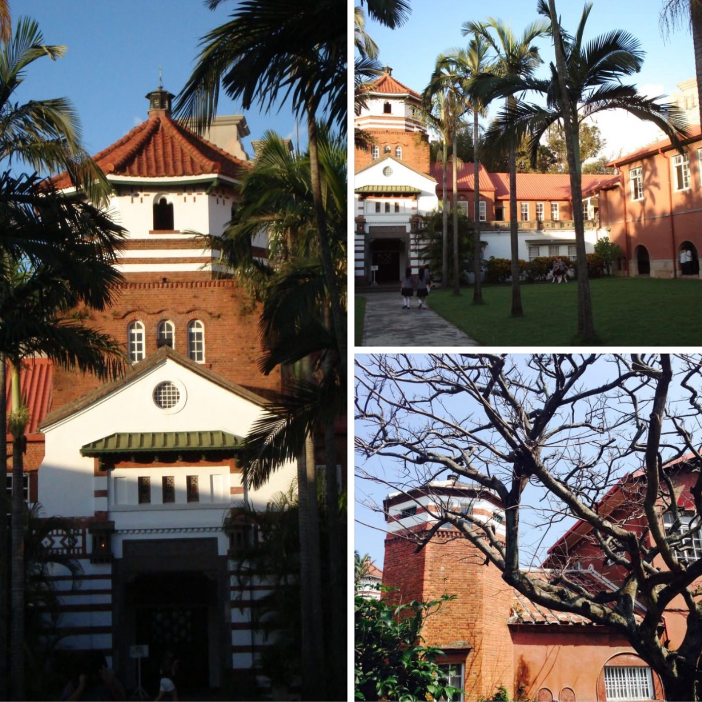 EP260│八角塔百歲生日