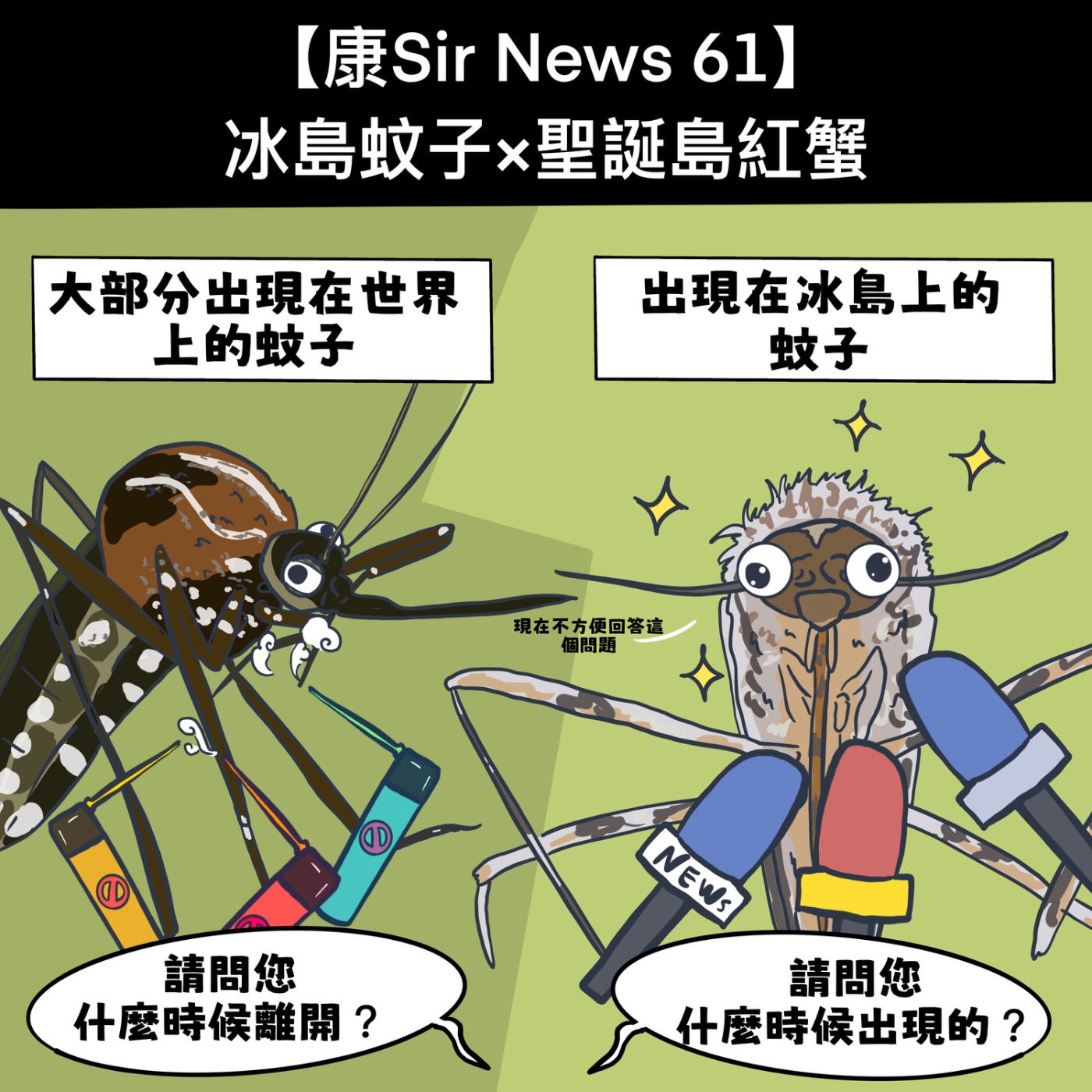 【康Sir News 61】冰島蚊子×聖誕島紅蟹 episode artwork