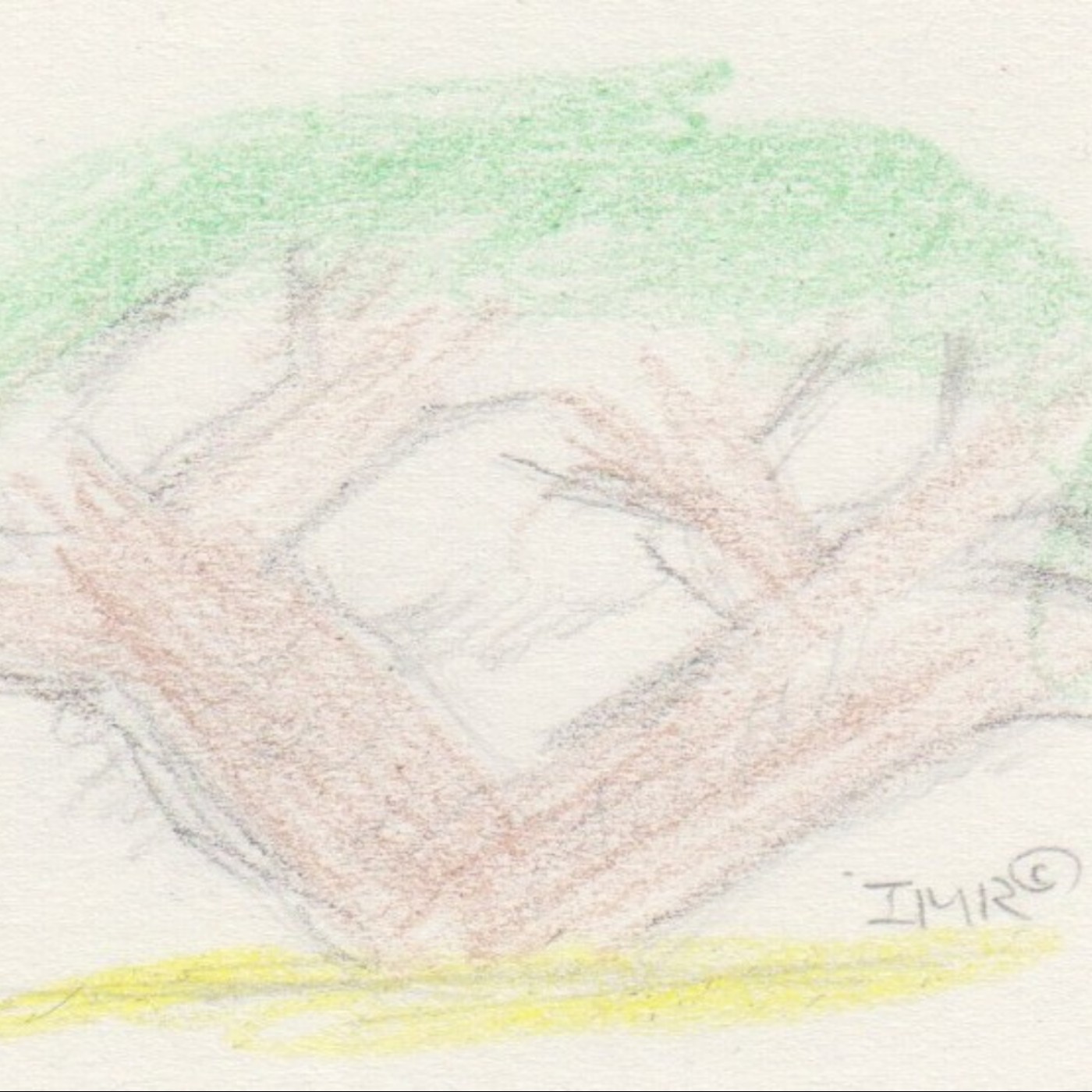 偶爾會想起 - 一個隨機漫步的說書分享