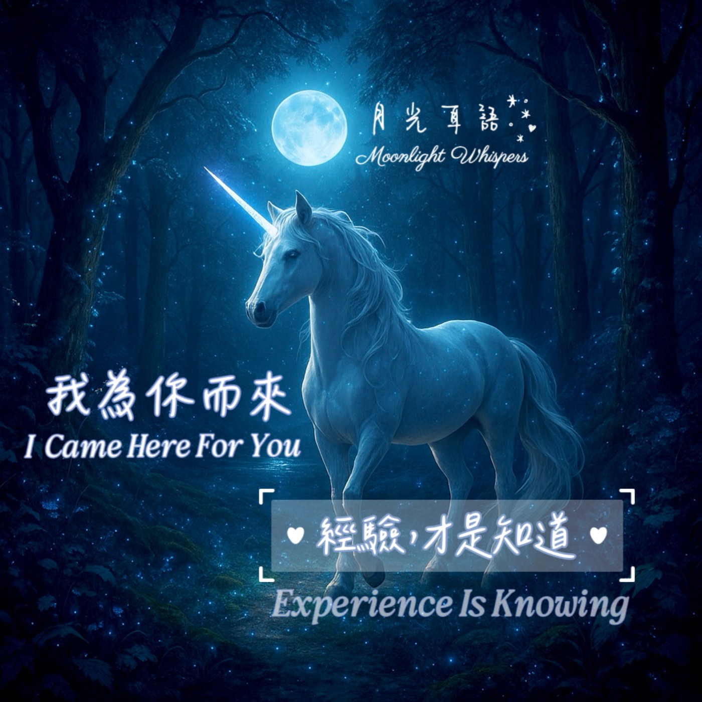 🌟 經驗，才是知道 Experience Is Knowing 🎁系列四《我為你而來 I Came Here for You》 episode artwork