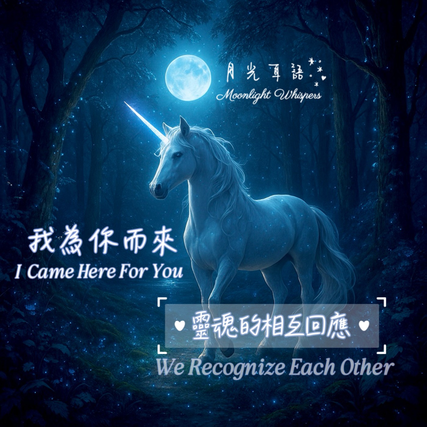 💫 靈魂的相互回應 We Recognize Each Other 🎁系列四《我為你而來 I Came Here for You》 episode artwork