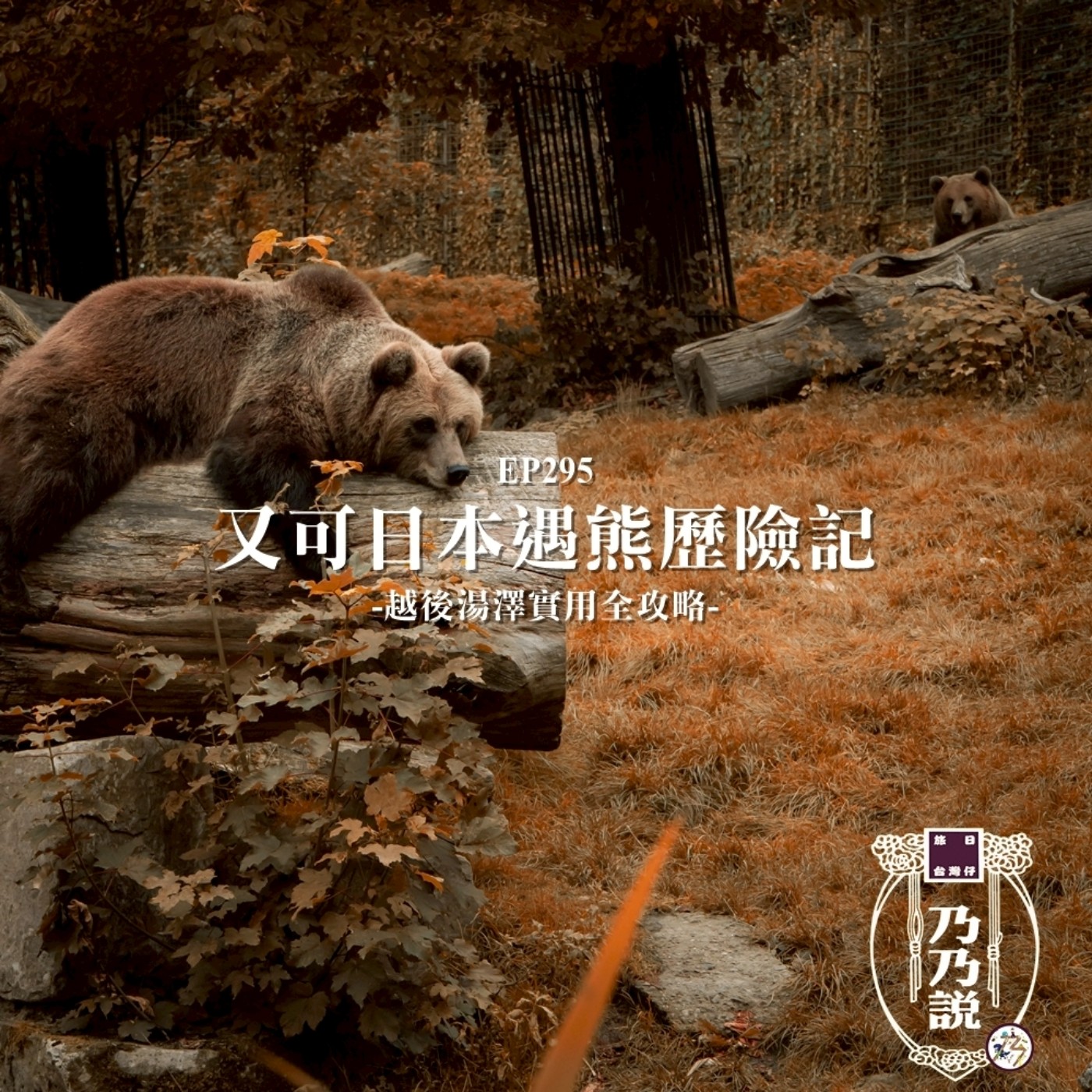 EP295 又可日本遇熊歷險記 越後湯澤實用全攻略