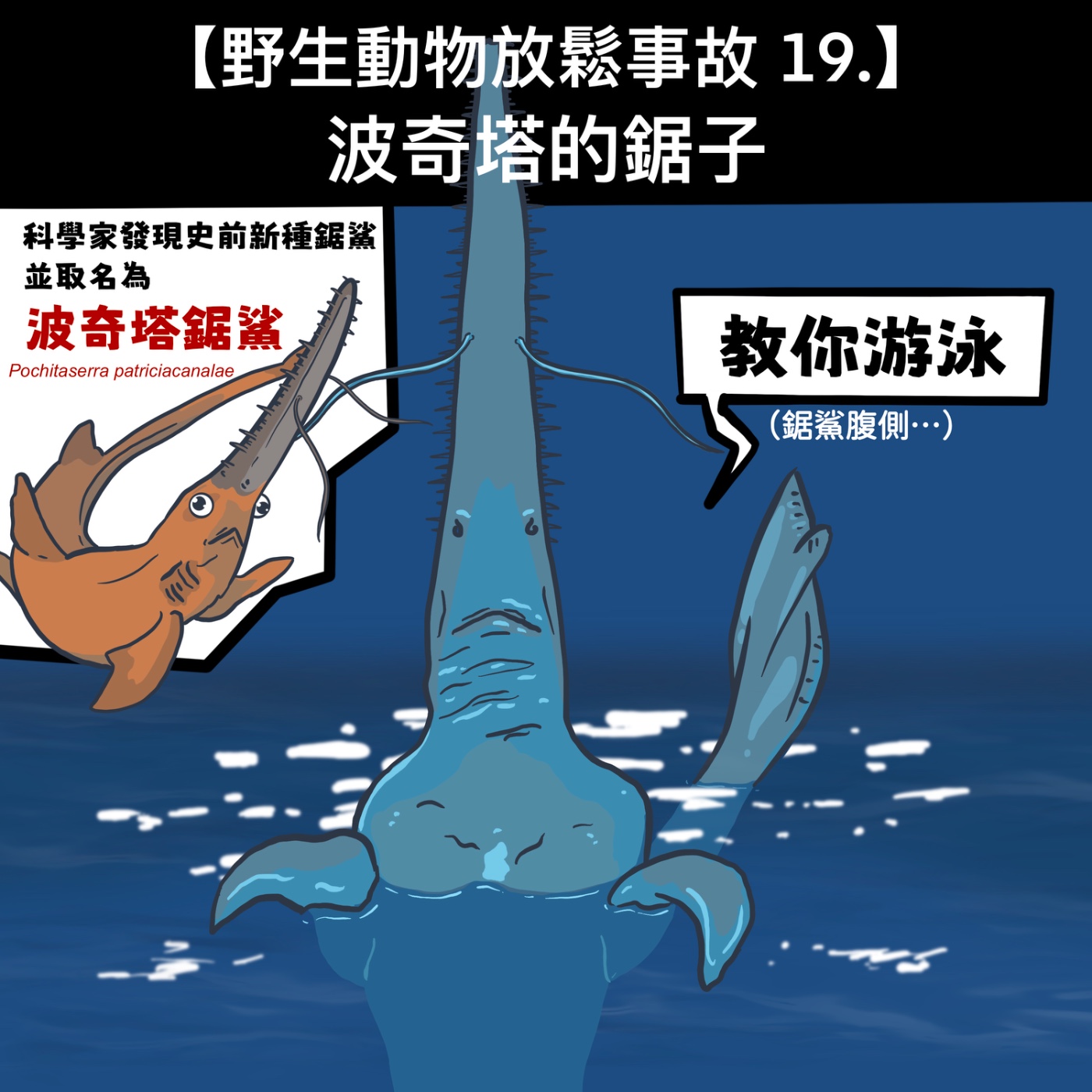 野生放鬆事故19. 波奇塔的鋸子 episode artwork