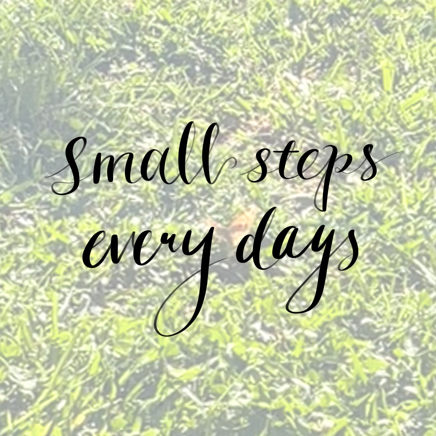 Adaline數學實驗室