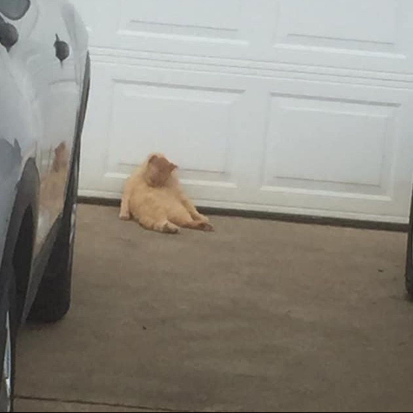 #527 【心事信箱】滿滿嘔吐味的懺悔/ 動搖唔到人的傳銷