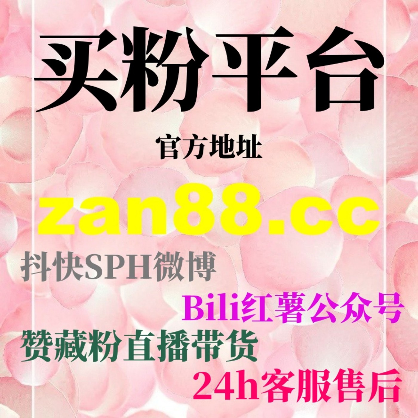 刷粉网｜DOU+费用解析：通过预算规划与数据监测提升投流效率的核心方法 podcast artwork