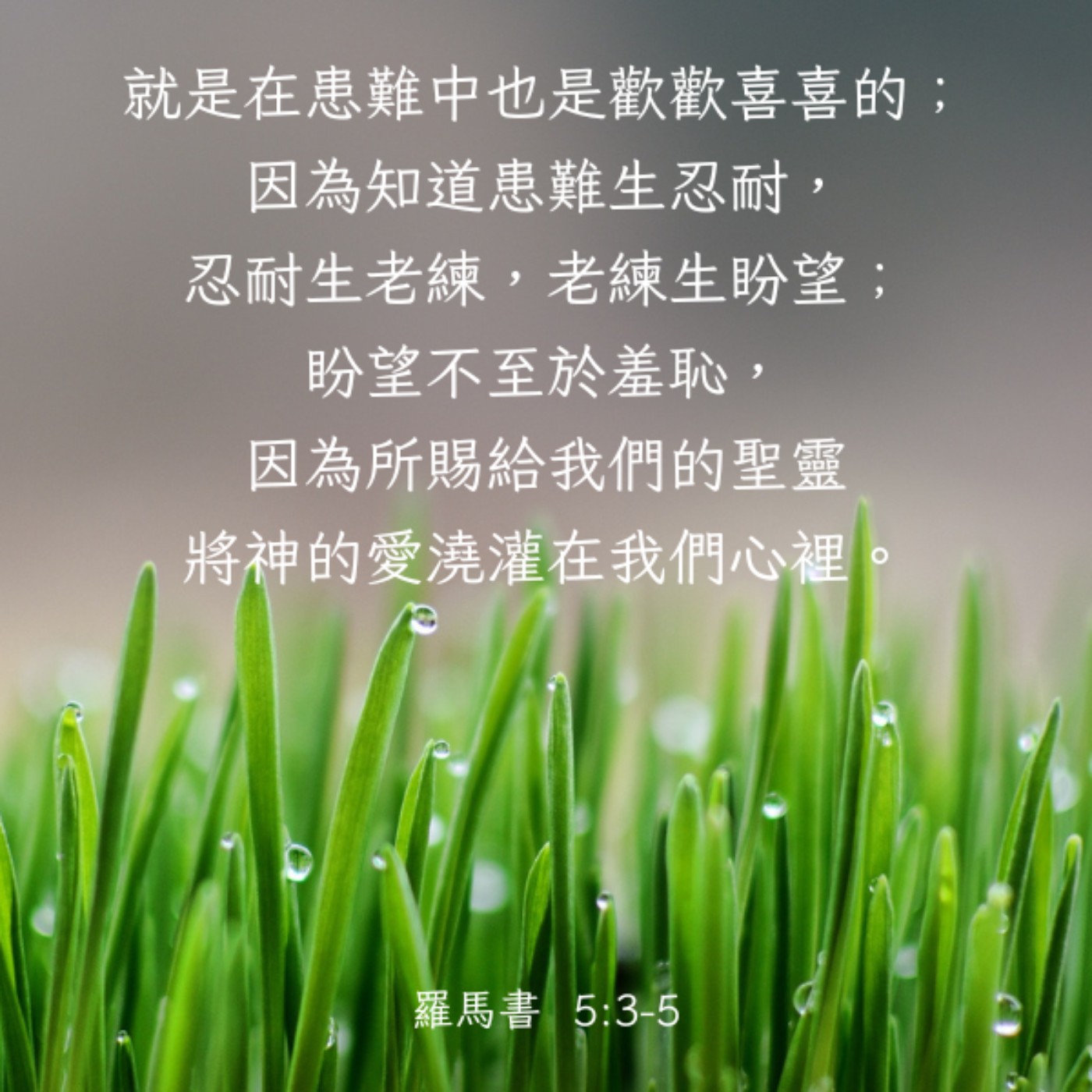 羅馬書 5:1-5 episode artwork