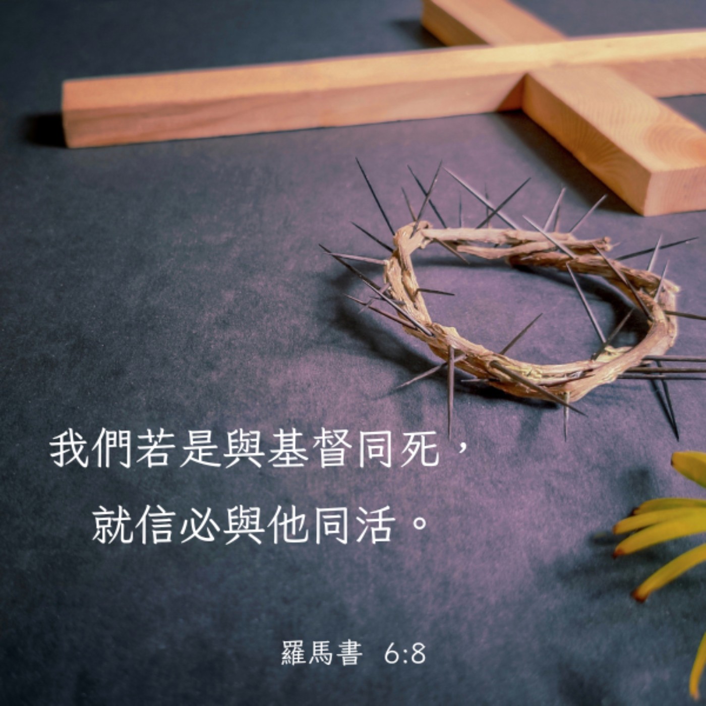 羅馬書 6:8-14 episode artwork