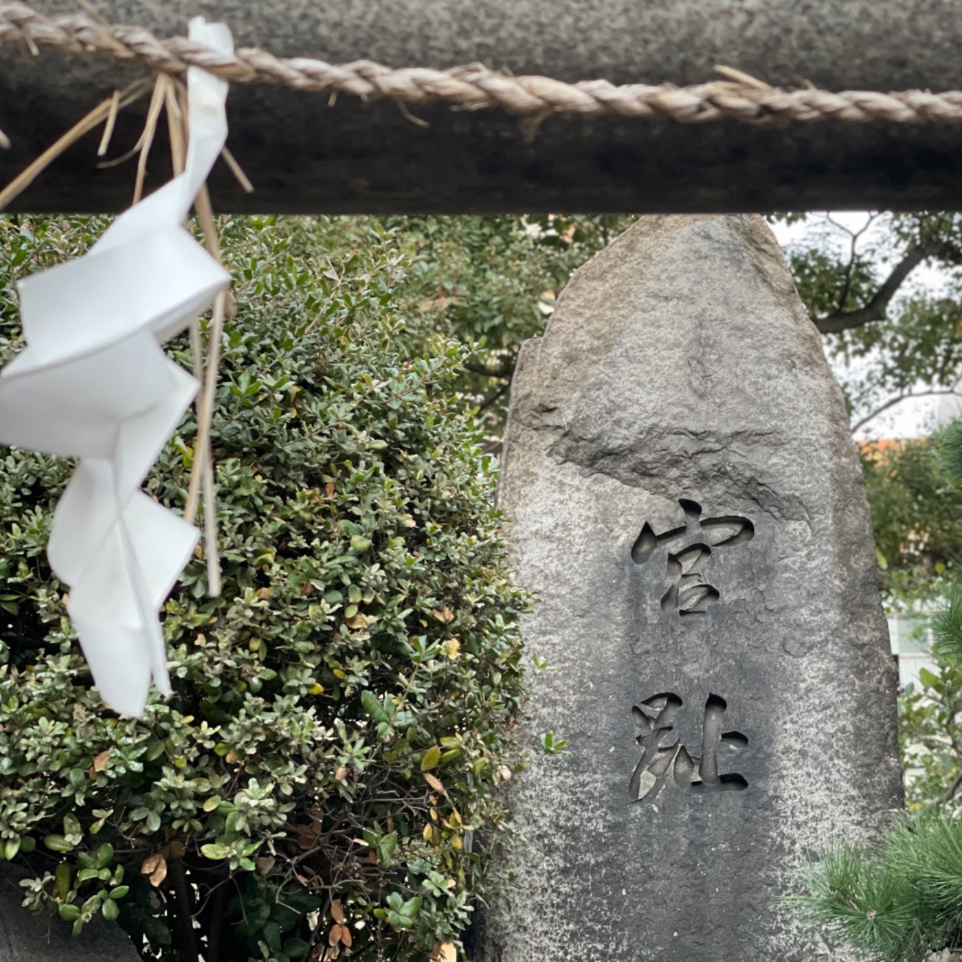 心之行旅 Go with Your Heart