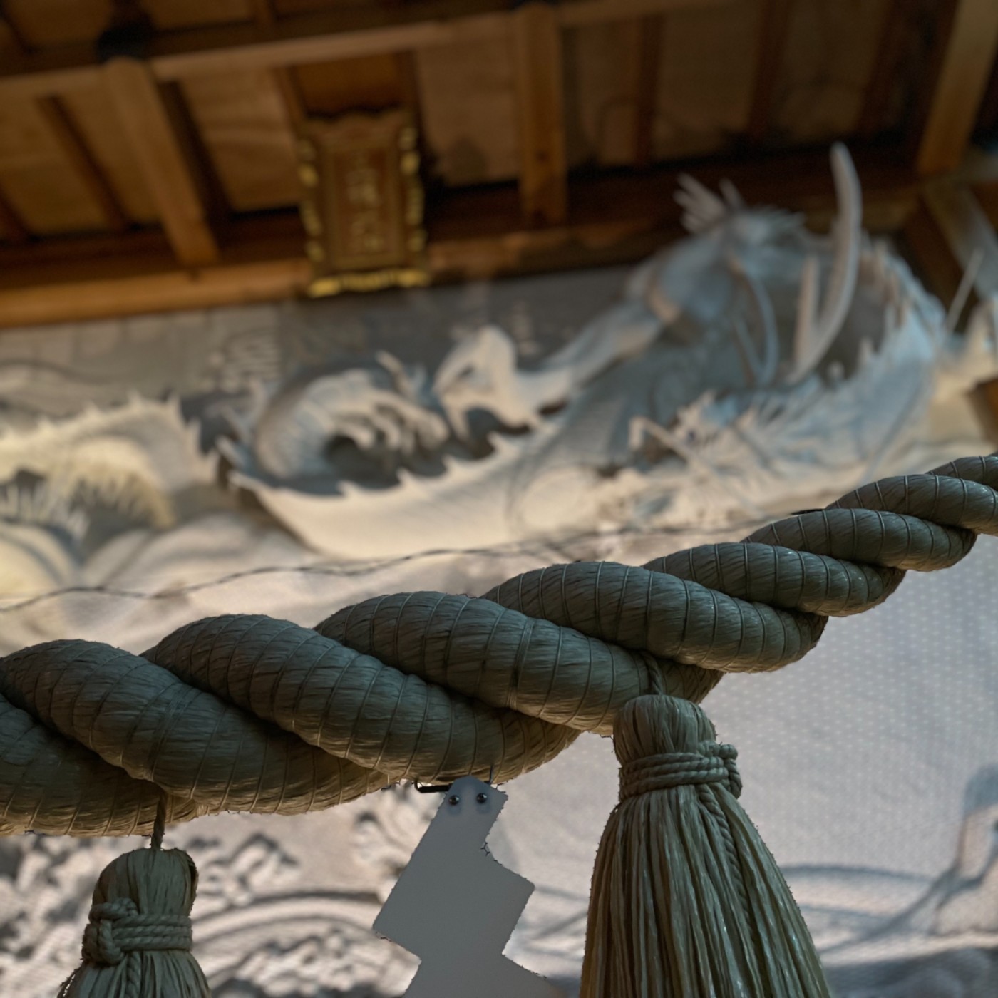 心之行旅 Go with Your Heart