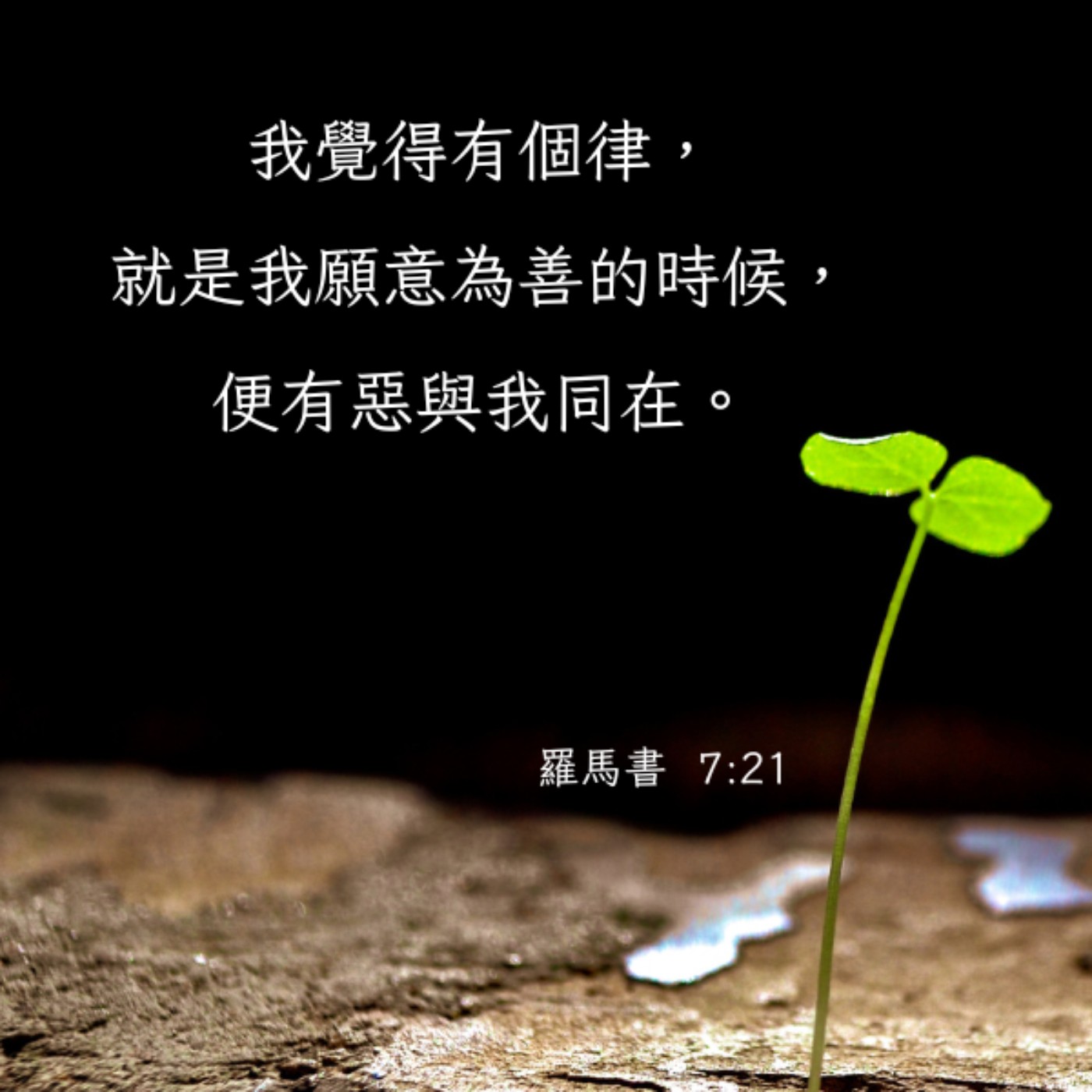 羅馬書 7:21-25 episode artwork