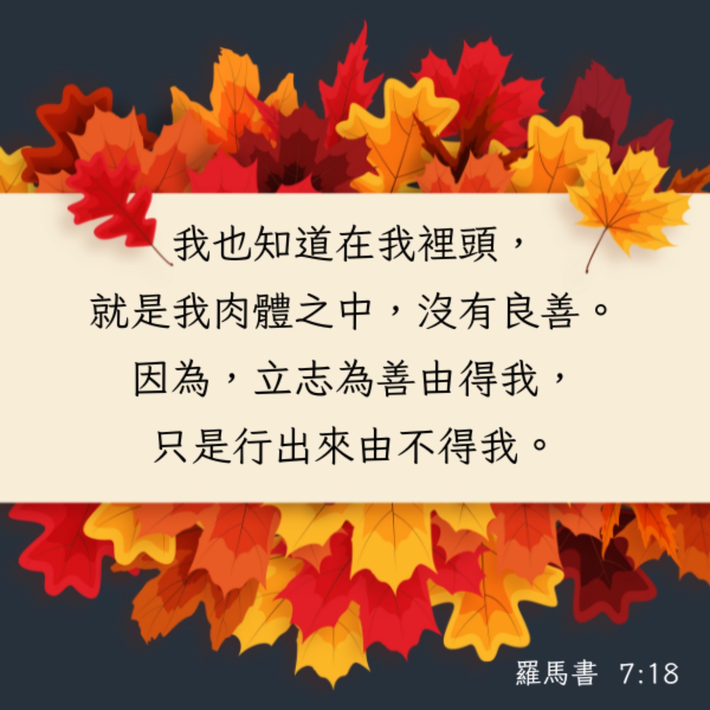羅馬書 7:14-20 episode artwork