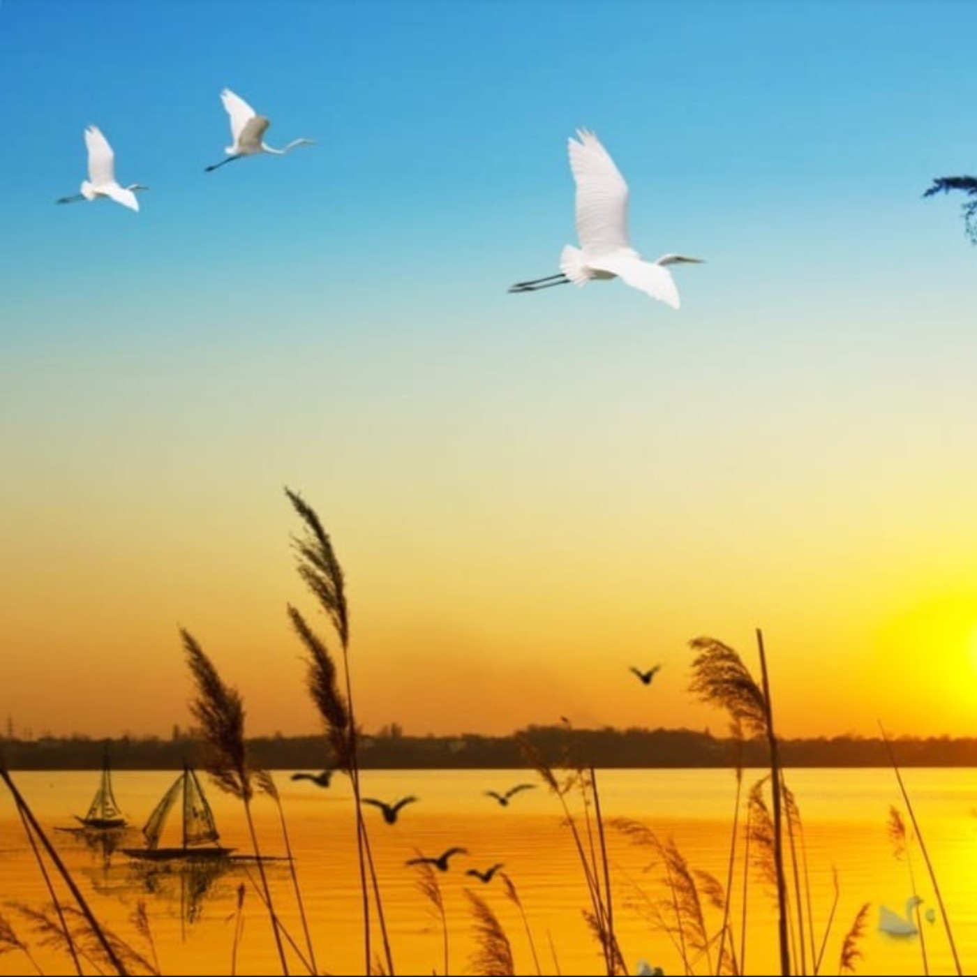 【聽文章】由《說文解字》「平安」二字想到的 【聽文章】由《說文解字》「平安」二字想到的