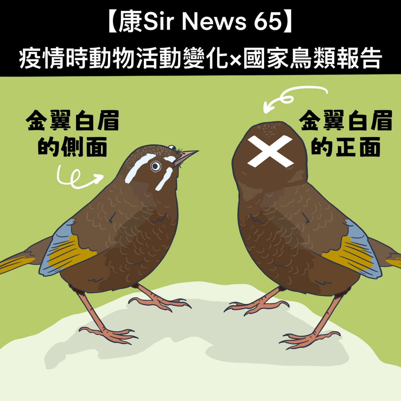 【康Sir News 65】疫情時動物活動變化×國家鳥類報告 episode artwork
