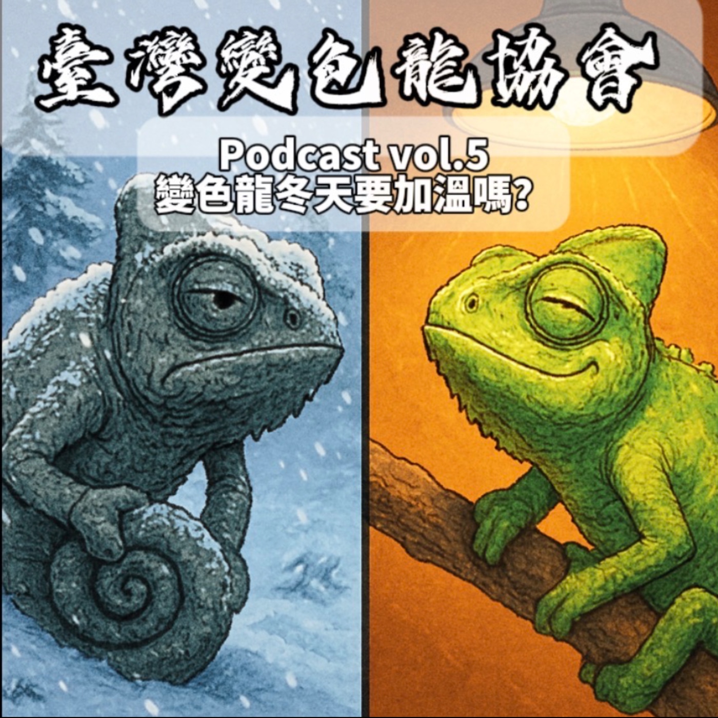 臺灣變色龍協會podcast vol.5 變色龍冬天要加溫嗎？ episode artwork