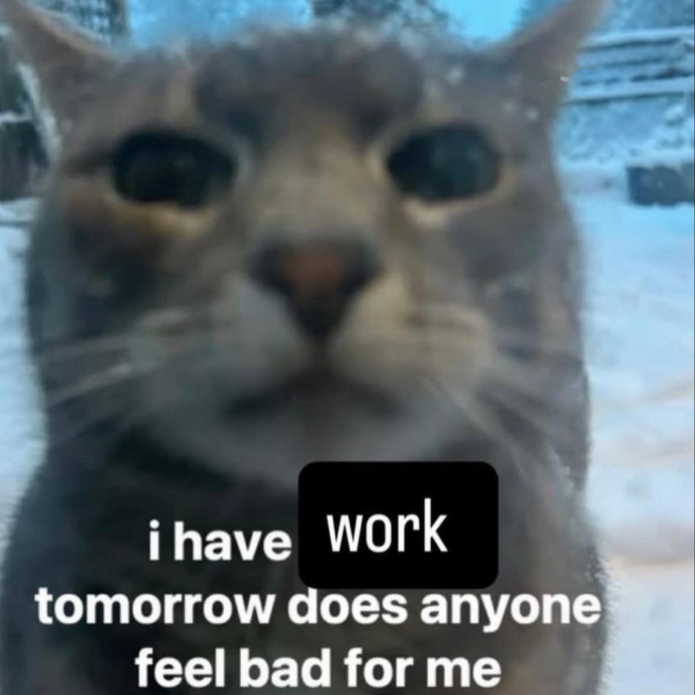 #529【心事信箱】我返工一律幹你娘塞爆/ 唱歌難聽唔係天生的 ft. 我地希望