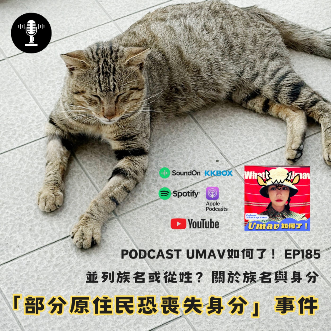 EP185 「部分原住民恐喪失身分」事件：並列族名或從姓？關於族名與身分