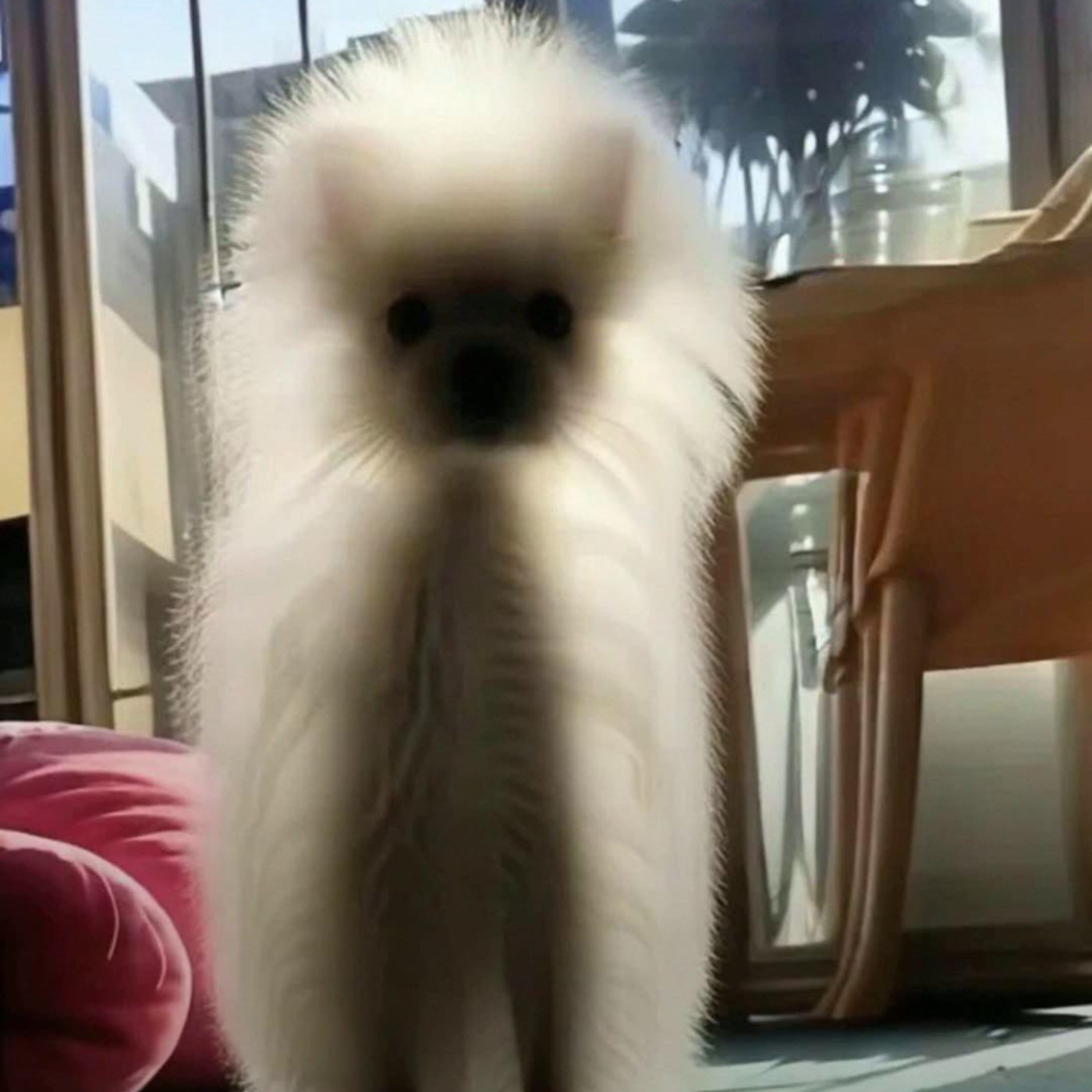 #534 【心事信箱】天人交戰巴士踢爆偷拍/ 左右眼都見到鬼👻 ft. 香港電影評論學會