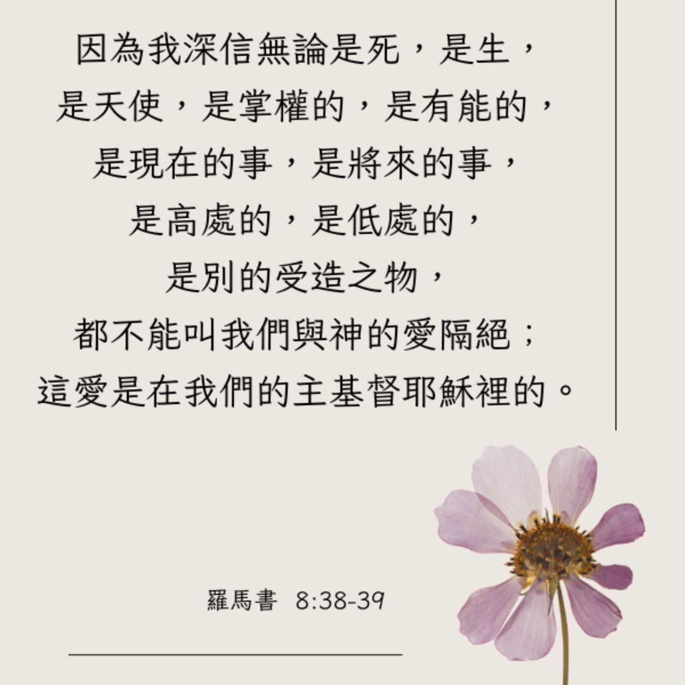 羅馬書 8:31-39 episode artwork